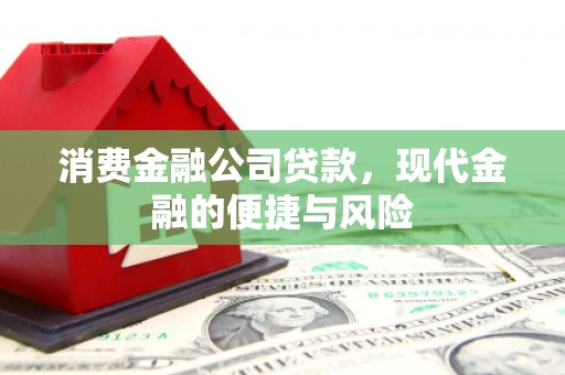 连山消费金融公司贷款，现代金融的便捷与风险