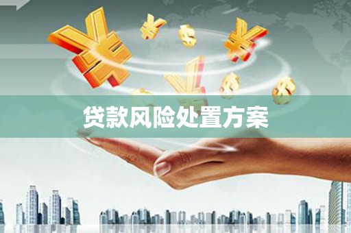 连山贷款风险处置方案