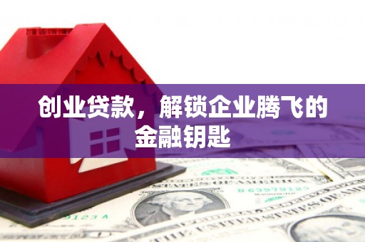 连山创业贷款，解锁企业腾飞的金融钥匙