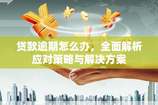 连山贷款逾期怎么办，全面解析应对策略与解决方案