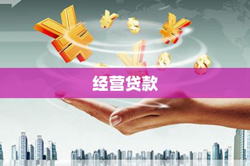 连山经营贷款
